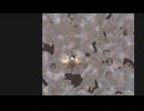 【Rimworld】辺境惑星で異種族ハーレムを Part.13
