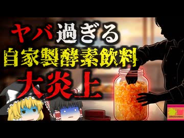 【2015】『手に付いた菌でデトックス』素手で混ぜ常在菌を育てる「自家製酵素ドリンク」…しかしその実態は科学的根拠のないニセ科学食品…それを国が紹介し大炎上『酵素ドリンク炎上騒動』を解説（新作