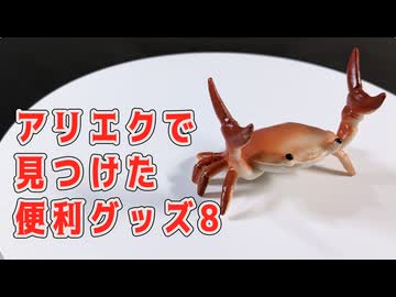 アリエクで買った便利グッズ (8)