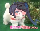 愛犬ロボ　「シオン・ザ・DB」