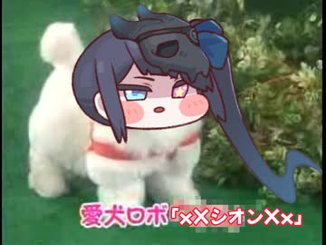 愛犬ロボ　「シオン・ザ・DB」