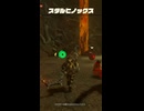 【ティアキン】オキタオジの根付近のスタルヒノックス　ゼルダの伝説ティアーズ オブザキングダムNintendo Switch 2 Edition