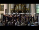 バッハ：カンタータ第58番「ああ神よ、心の痛手いと多く」BWV58