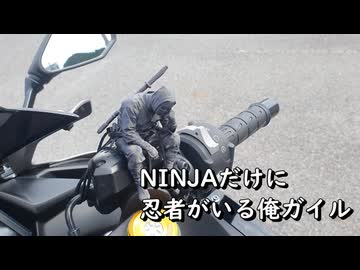 ZX25Rで行く【納車即 外観カスタム】忍者といえば甲賀だよねWhiteCUL
