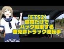 【ETS2】感覚だけでバック駐車する無免許トラック運転手