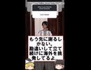 ガミックス メッシ弄り 「日本の恥」