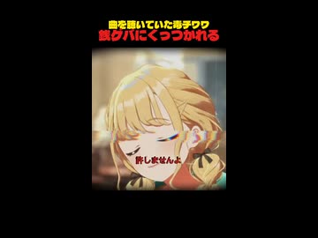 【ホラー注意】毒チワワとイチャイチャする銭ゲバだが…？