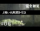 【初見プレイ】目が覚めたら大きなワシがいた Part.6【人喰いの大鷲トリコ/ネタバレ注意】