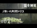 【初見プレイ】目が覚めたら大きなワシがいた Part.7【人喰いの大鷲トリコ/ネタバレ注意】