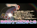 【除夜のケツ2025】今年はカバーのスタジオでケツを叩く夕刻ロベル【夕刻ロベル切り抜き】