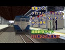 【エミュレータ、チート、MOD使用 電車でGO プロフェッショナル2】湘南新宿ライン　113系スカ色MODプレイ動画