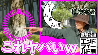 【エンドフィールド】木の幹が白いまさかの理由｜ゲームさんぽ