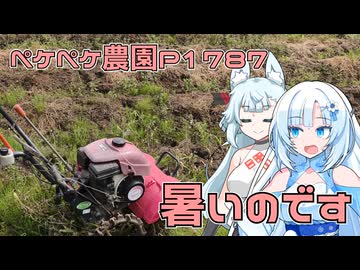 2026年7月15日　日記1787　予定は変更して畑耕そうよ！
