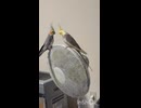 私のだから！