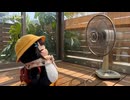 ケツデカピングー