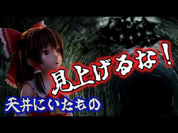 【ゆっくり】怖い話＆不思議な話を読んでみる843