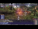 【FINAL FANTASY XI】経験値を得るの時間です。稼ぐぞぉぉぉ！＿＿１レベルからのヴァナ・ディール生活