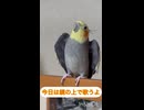 今日の気分は？