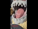 [ASMR開封]顎の巨人いい音で開けてみた
