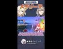 勇者技解説 メラゾーマ【スマブラSP】