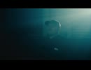 Saving Face - Flowers On Your Grave (OFFICIAL MUSIC VIDEO)