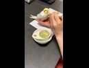 ヒナちゃんにはご飯を食べさせてあげよう□