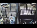 防犯カメラが捉えた玄関前の記録映像｜日常の一場面