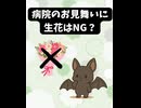 病院のお見舞いに生花はNG？片手で花を生けられる自助具を作ってみた【ショート】