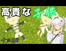 ゆったりカウン島生活　十三日目