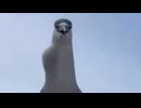 ホモと見る電マみたいな鳥