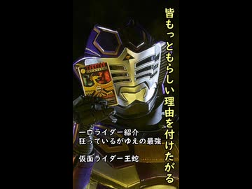 一口ライダー紹介　戦いに狂ったが故の最強　【仮面ライダー王蛇】