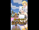 アイテムパワーでごぼう抜き！【ソニックレーシングCW Finishline Clips #03】