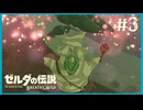 カカリコ村に行けない【ゼルダの伝説 ブレス オブ ザ ワイルド】#3