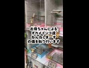 個性が強すぎるｗインコたちの「ねんねの儀」が平和すぎ
