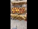【密着】栗の穂を置いた結果…オカメインコが礼儀正しすぎｗ