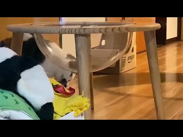 謎おくた