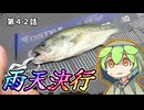 雨天決行！ボチボチ釣れた６月。第４２話【フラッシュＪ】