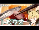 おつかれごはん#244「トビウオの刺身とバター焼き」