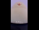 星に願いを / Cliff Edwards (acapella cover)