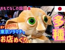 【大興奮の一日】東京ソラマチ観光！ポケモン・ハリポタ・ハギーワギー限定ストア＆スカイツリー絶景ライトアップ #70