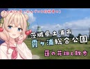 しゅお散歩　霞ヶ浦総合公園のハスの花と園内散歩だよ