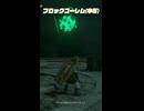 【ティアキン】ウイチョジの根付近のブロックゴーレム　ゼルダの伝説ティアーズオブザキングダムNintendo Switch 2 Edition