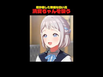 【動画説明文に報告あり】魔が差して清夏ちゃんを襲ってしまう無垢な白い花