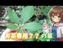 これから旬の