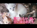 一つの時代の区切り、新たなる縁