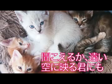 一つの時代の区切り、新たなる縁