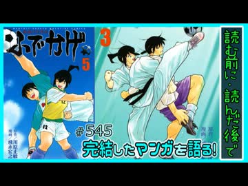 ｢修羅の門異伝 ふでかげ｣読む前に・読んだ後で【漫画マンガ語る[545]】