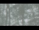 消失 / 名前シレズ