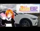 ネルハクおでかけ日記Part2：大垂水峠