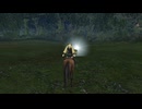ファイアーエムブレム無双　エリーゼ　１９